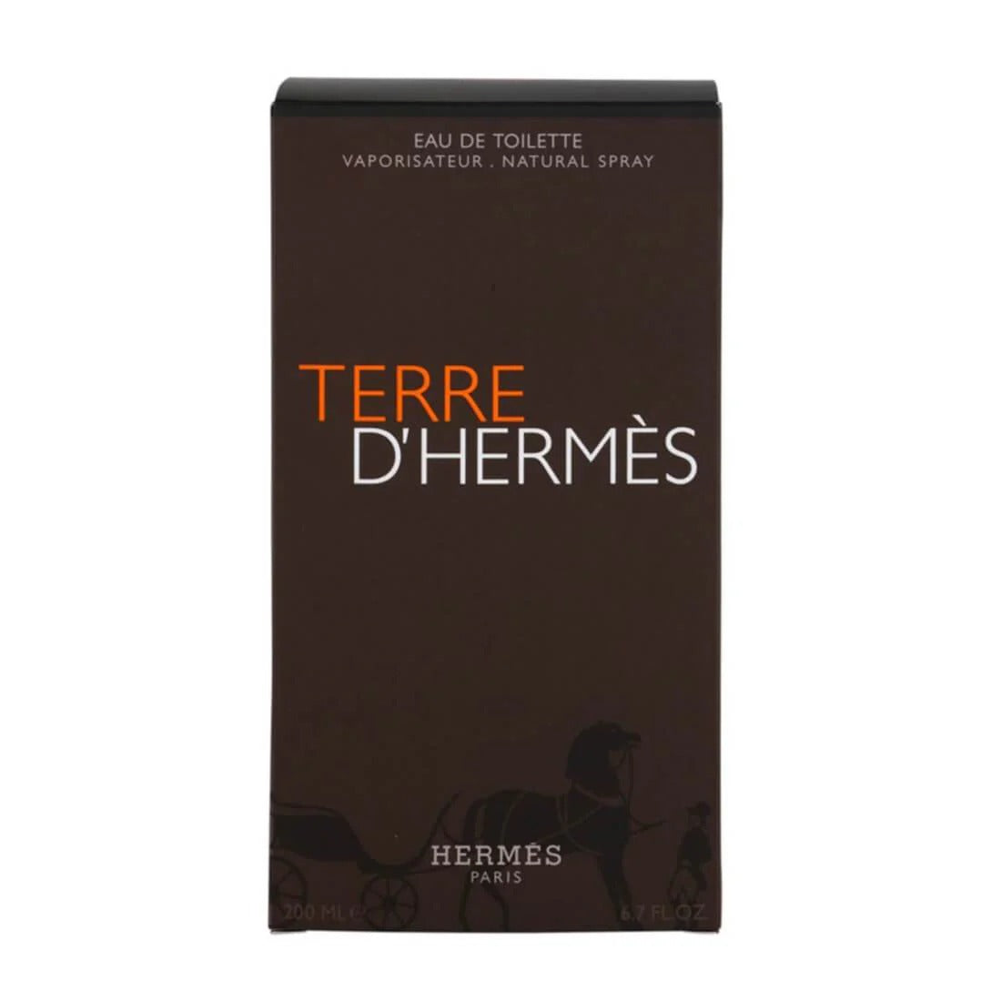 Hermes Terre D'Hermes Eau De Toilette For Men 100ML
