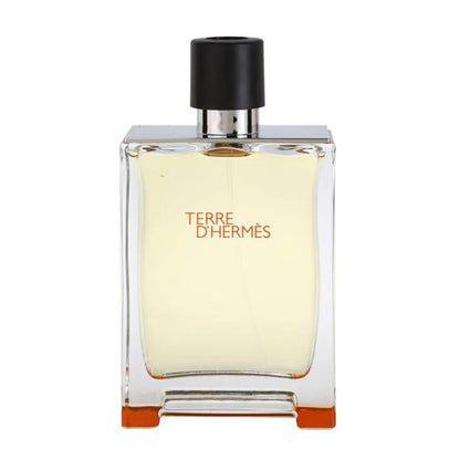 Hermes Terre D'Hermes Eau De Toilette For Men 100ML