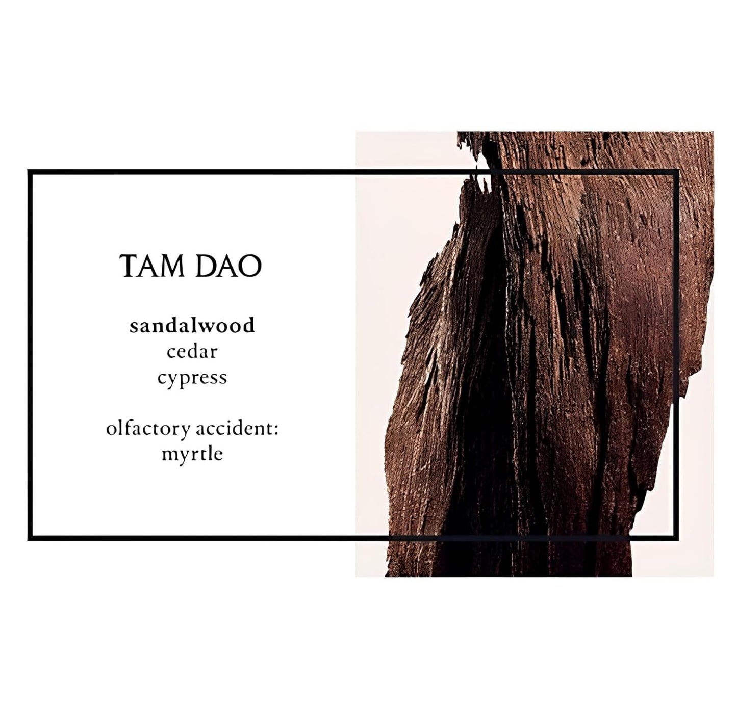 Diptyque Men Tam Dao Wood Scent Eau De Toilette,100 Ml